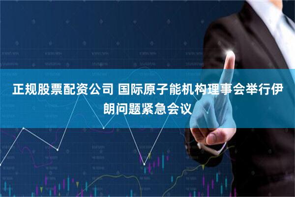 正规股票配资公司 国际原子能机构理事会举行伊朗问题紧急会议