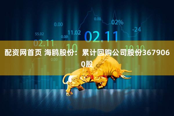 配资网首页 海鸥股份：累计回购公司股份3679060股